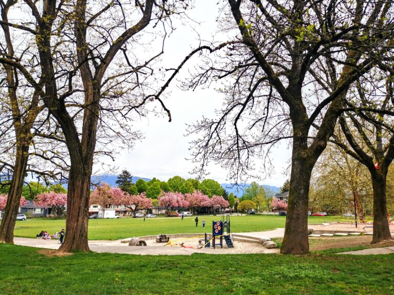 Home 20200428 123645 HDR 768x576